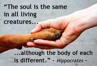 35b5d71f83e33945217c6bf6795eed84