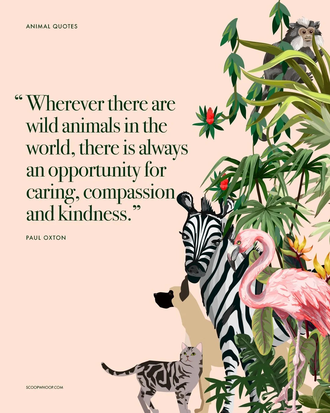 5f2e653660c060014321a652_816514b4-2758-4550-b00c-08160555ab8f