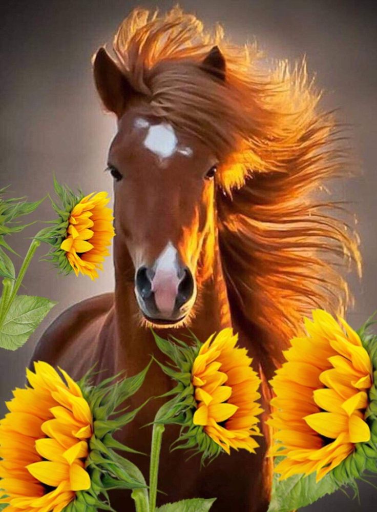 a4769195c73120f46be12b5cb55c32b4