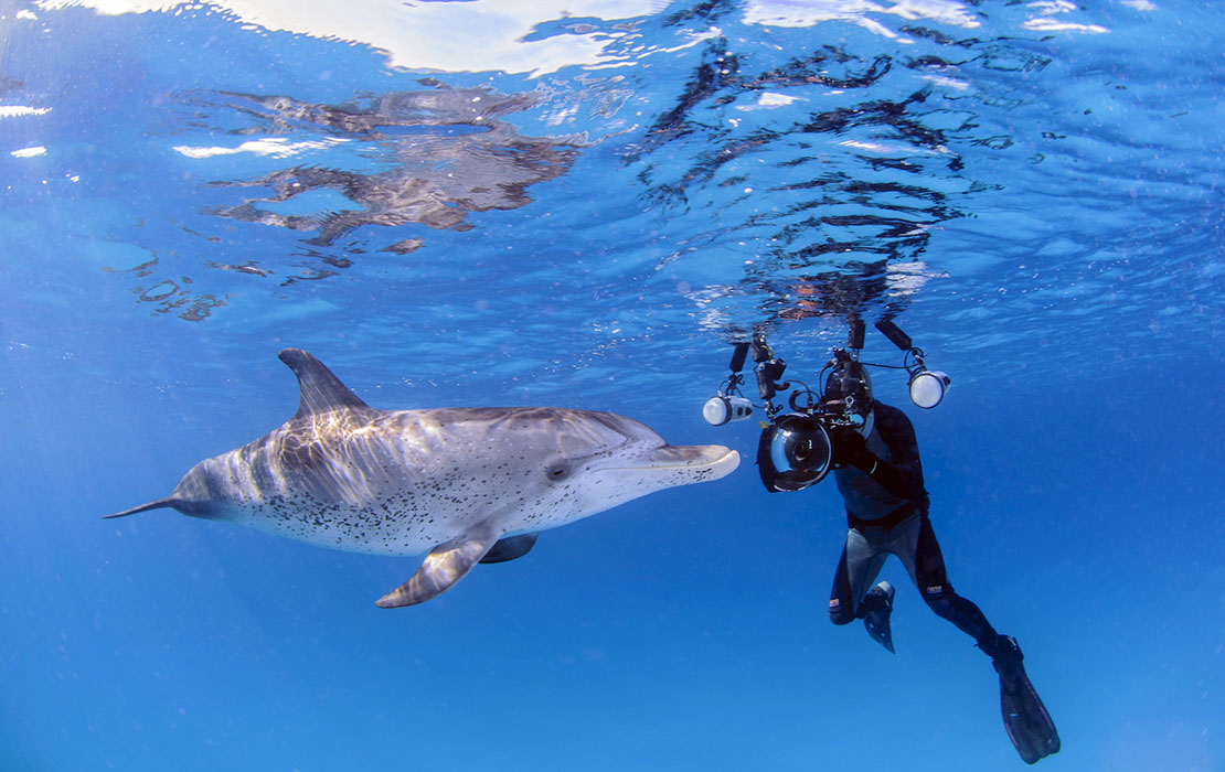 Underwater Photographer with Friendly Dolphin in Clear Waters of