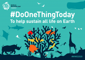 Screen-Shot-2020-02-26-at-10.10.59-AM-300x211